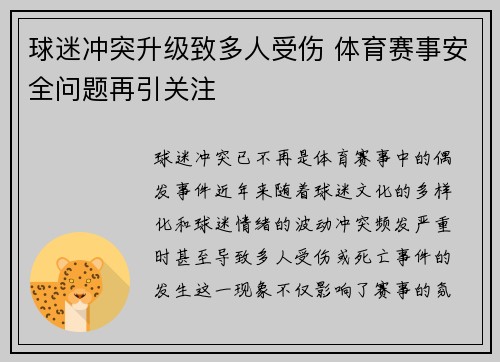 球迷冲突升级致多人受伤 体育赛事安全问题再引关注 球迷冲突升级致多人受伤 体育赛事安全问题再引关注