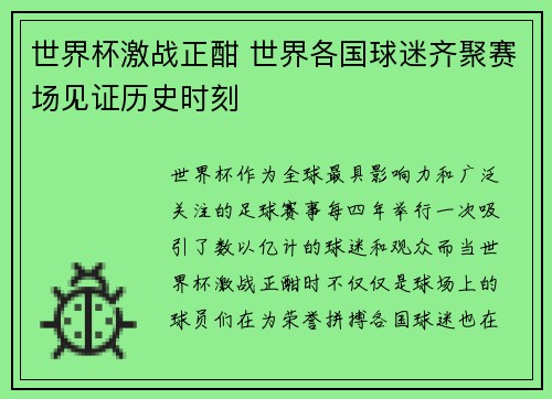 世界杯激战正酣 世界各国球迷齐聚赛场见证历史时刻 世界杯激战正酣 世界各国球迷齐聚赛场见证历史时刻
